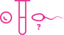 Icono probeta