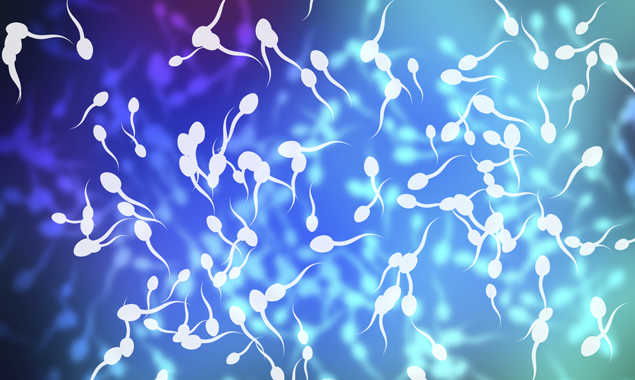 Veränderungen des Spermas aufgrund von oxidativem Stress könnten durch Eizellen junger Spenderinnen ausgeglichen werden