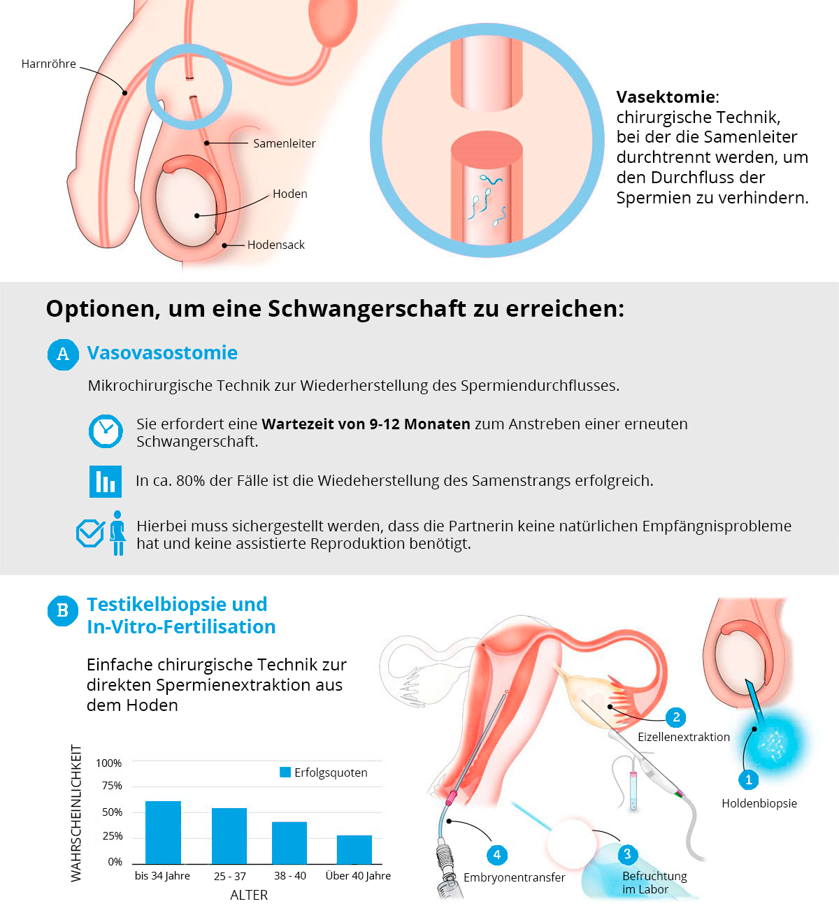 Trotz mann beim schwangerschaft sterilisation Refertilisation beim