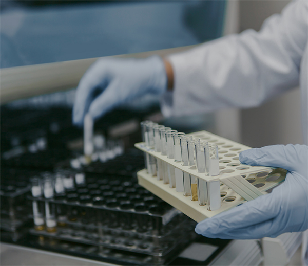 Abteilung Reproduktionsgenetik